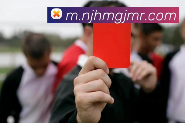 未来规划